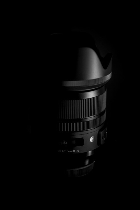 Graphique des dépenses